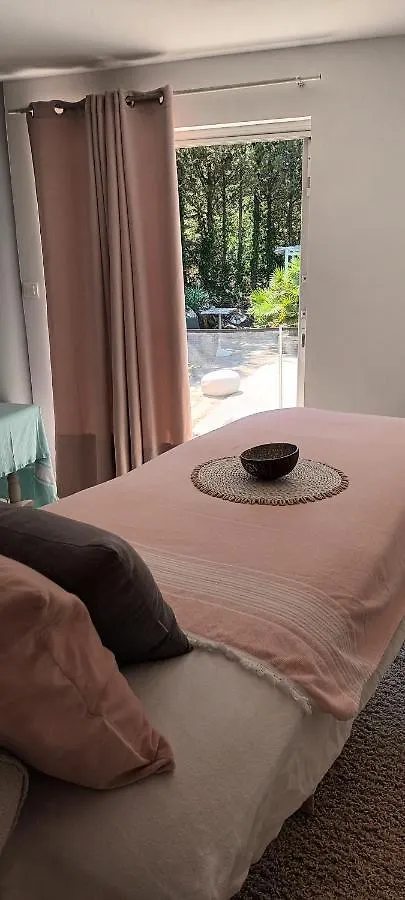 Le Mas De Cocody Le Plan-de-la-Tour Apartment